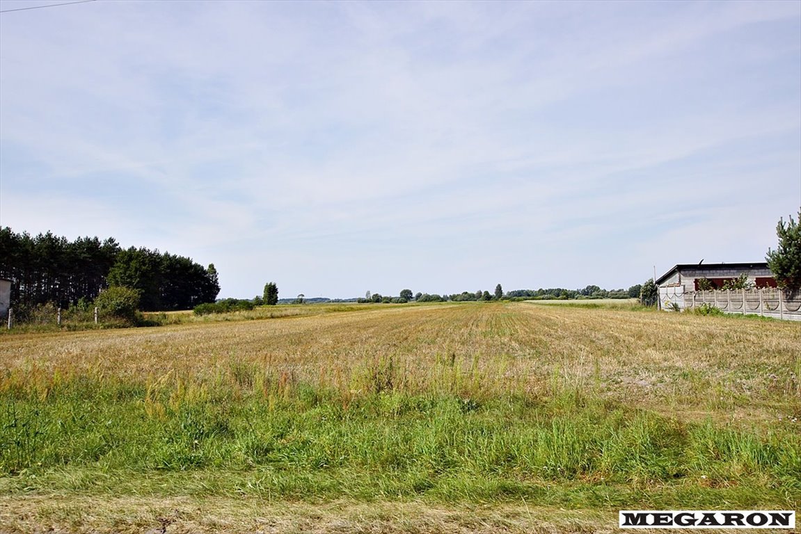 Działka 5244 m² z mediami, spokojna okolica, możliwość zabudowy Ciężkowice  5 244m2 Foto 1