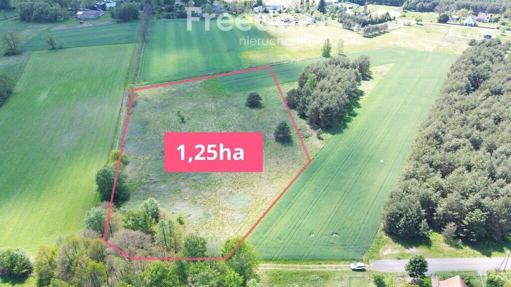 Działka rolna 1,25 ha z wodą, lasem i blisko natury Borucice  12 500m2 Foto 1