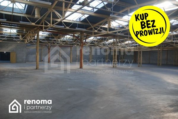 Lokal użytkowy na sprzedaż Kołobrzeg  700m2 Foto 3