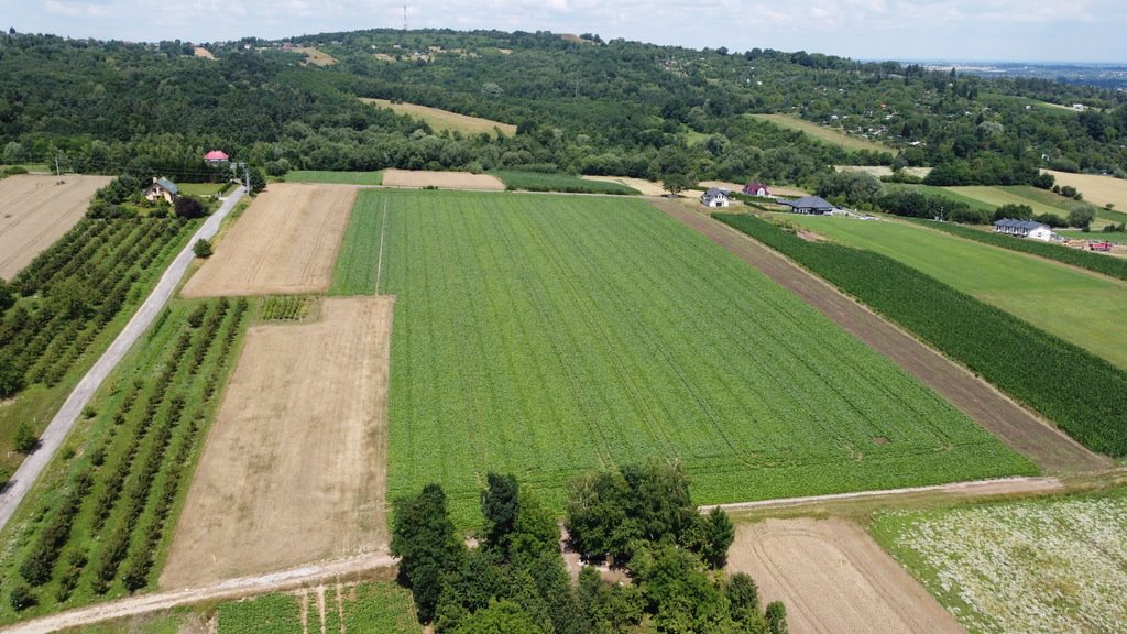 Działka budowlana na sprzedaż Przemyśl, Fabryczna  31 508m2 Foto 6