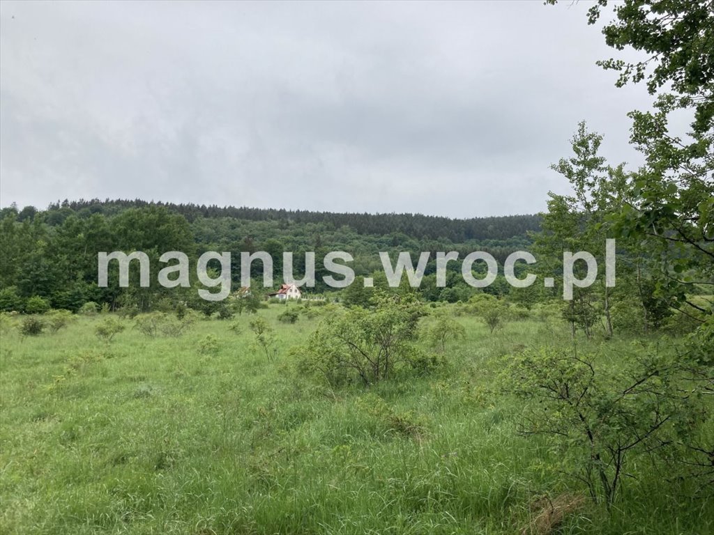 Działka rolna na sprzedaż Łomnica  2 710m2 Foto 1