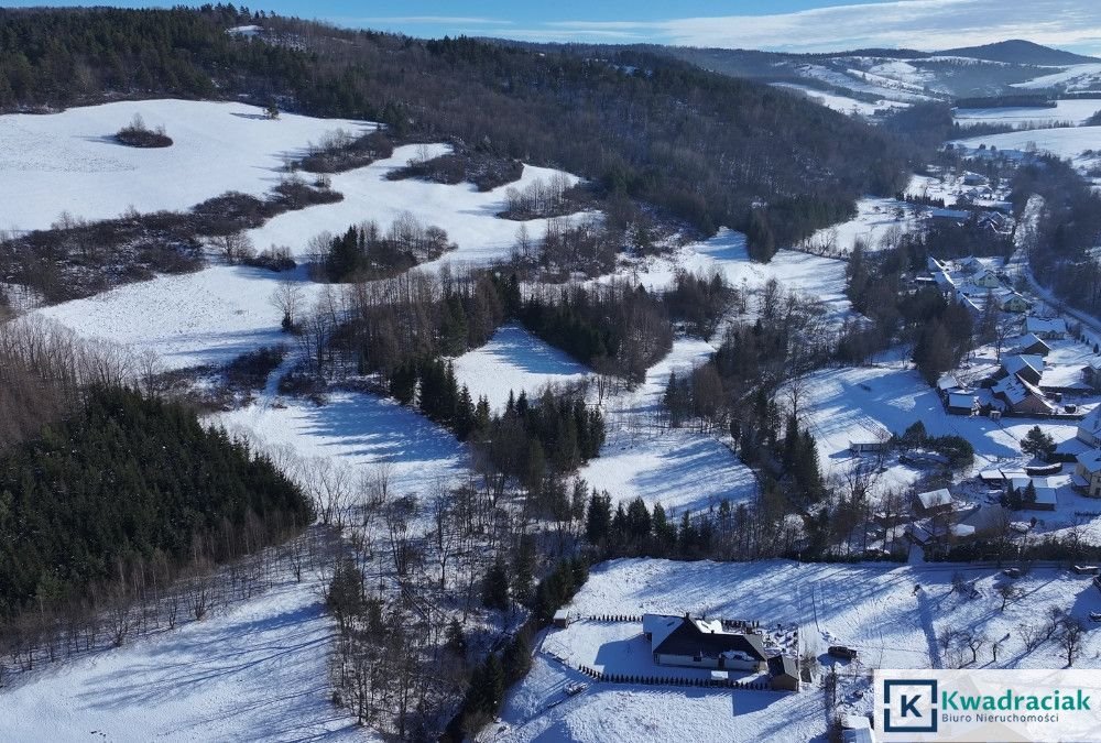 Działka inwestycyjna na sprzedaż Stężnica  102 500m2 Foto 5