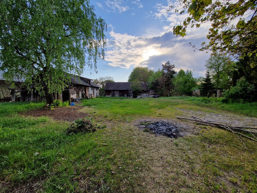 Działka siedliskowa na sprzedaż Sadowne  3 500m2 Foto 11