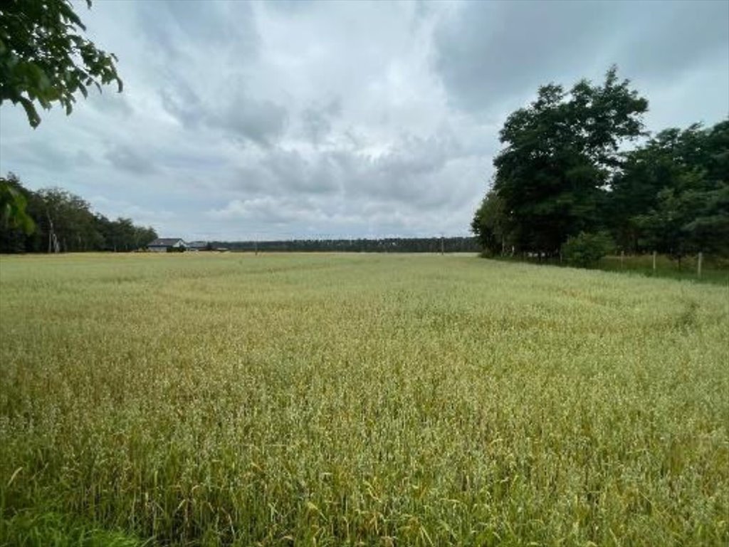 Dom na sprzedaż Pyzdry, Pyzdry, Trzcianki  107m2 Foto 19