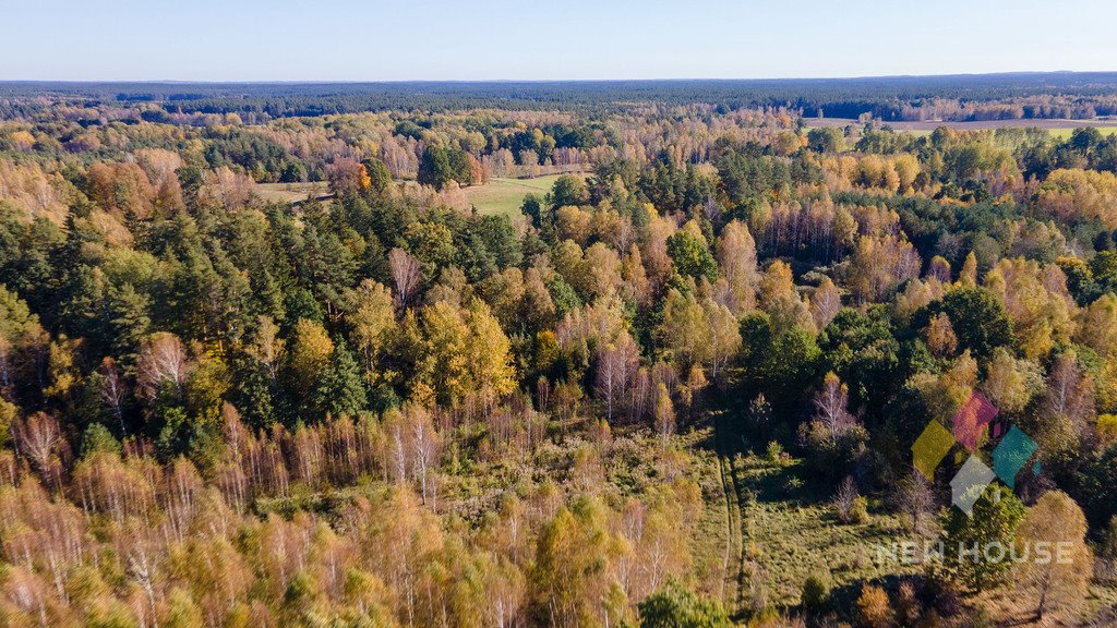 Działka siedliskowa na sprzedaż Butryny  110 000m2 Foto 20