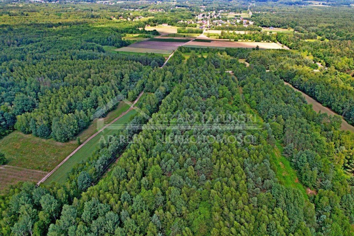 Działka rolna na sprzedaż Uściąż, Uściąż  35 000m2 Foto 6