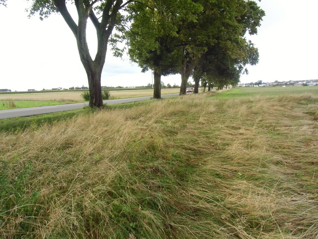 Działka budowlana na sprzedaż Łebcz  1 660m2 Foto 3