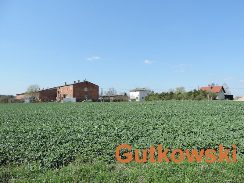Działka rolna na sprzedaż Dziarny, Gmina Iława  4 140m2 Foto 5