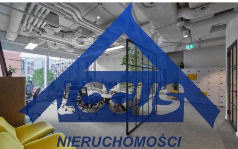 Zdjęcie 6