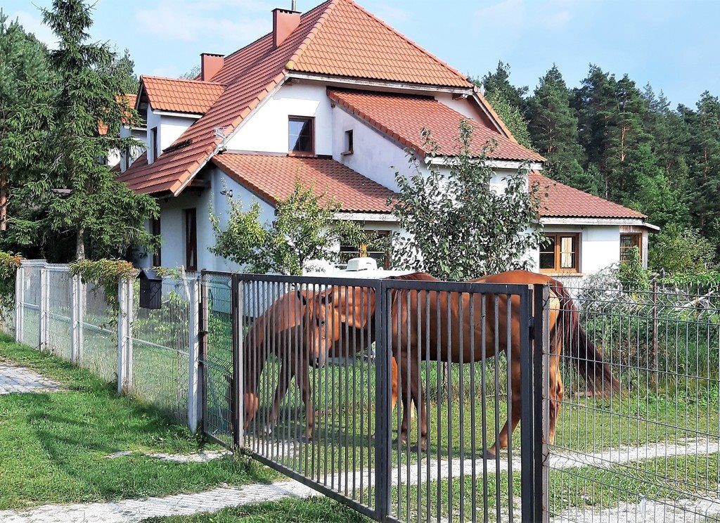 Dom na sprzedaż Szczecno 210m2 Foto 1 Dom na sprzedaż Szczecno 210m2 Foto 1