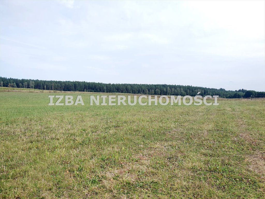 Działka rekreacyjna na sprzedaż Grabnik  3 400m2 Foto 19