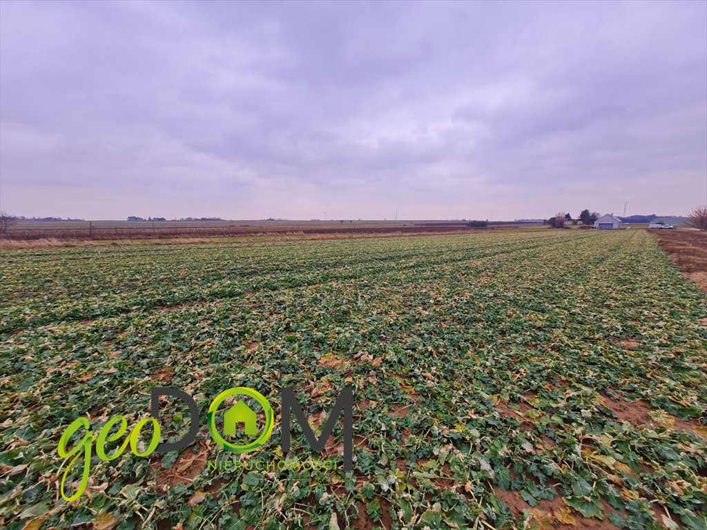 Działka 1878 m² w Pliszczynie z mediami i możliwością zabudowy Pliszczyn  1 878m2 Foto 1