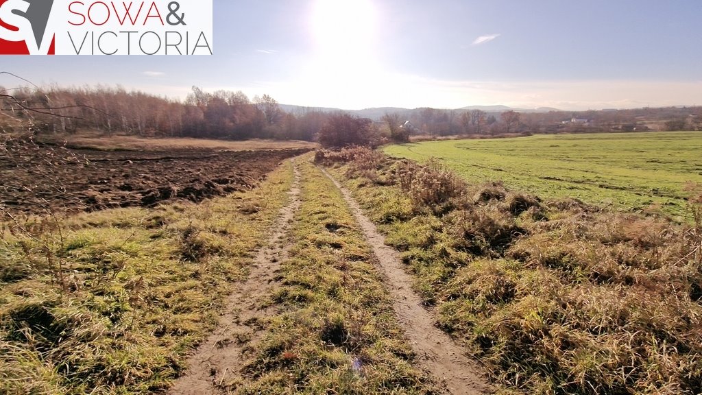 Działka inna na sprzedaż Wałbrzych, Lubiechów  3 069m2 Foto 9