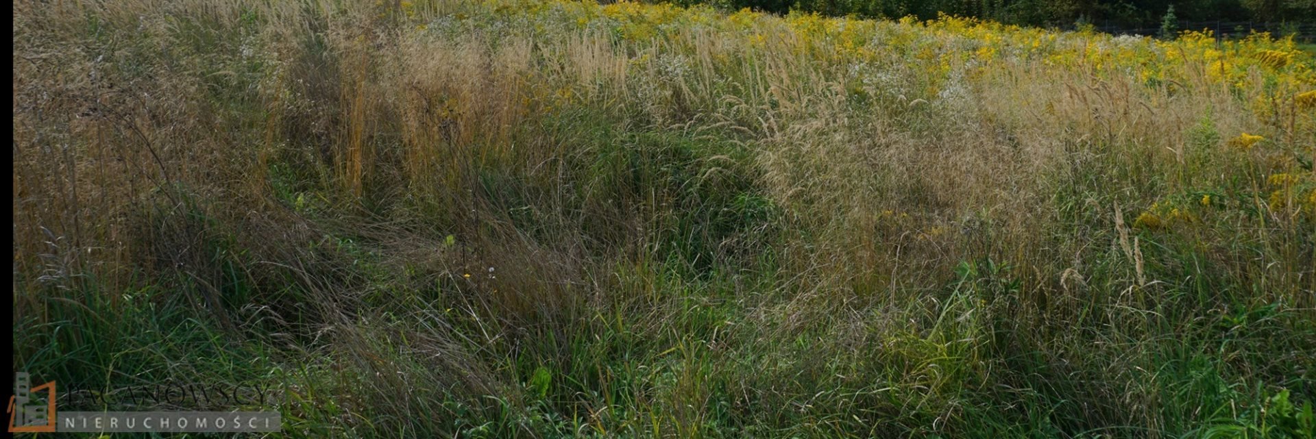 Działka budowlana 1500 m² z mediami, w Więckowicach Więckowice  1 500m2 Foto 1