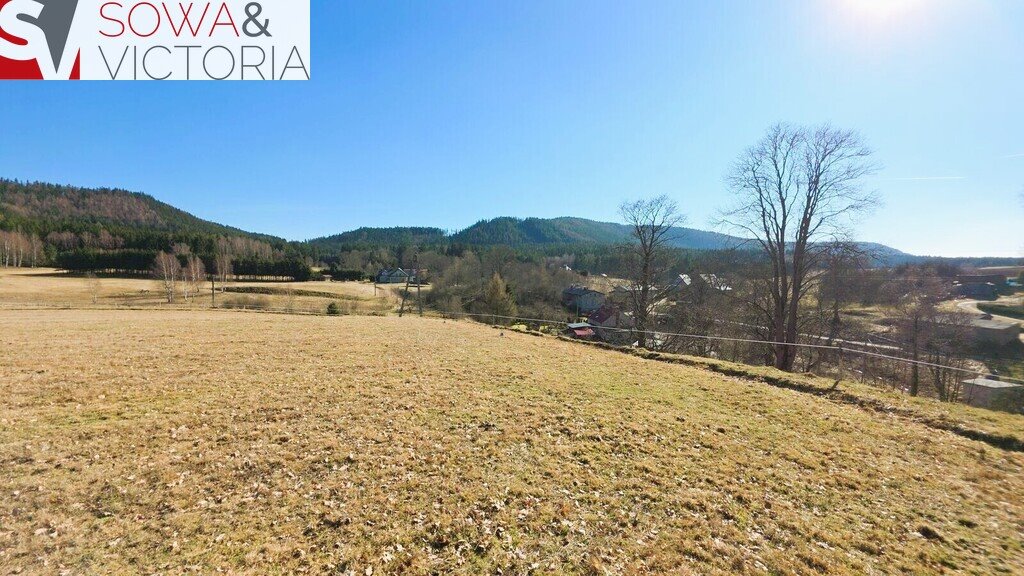 Działka 1,78 ha pod zabudowę i rekreację, blisko Czech Chełmsko Śląskie  17 800m2 Foto 1