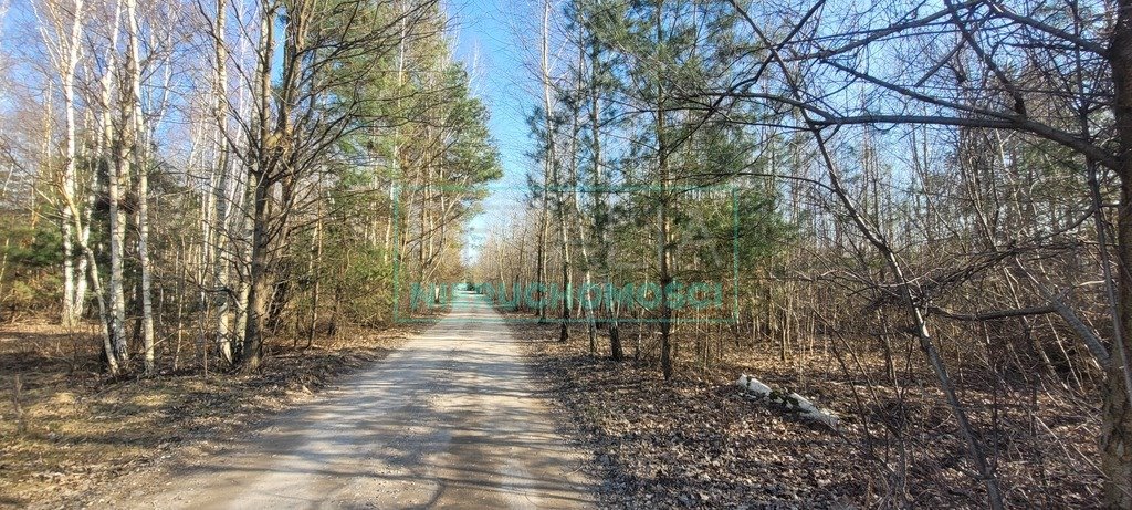 Działka 1000 m² z mediami, MPZP, las i S8 w pobliżu Wycinki Osowskie  1 000m2 Foto 1