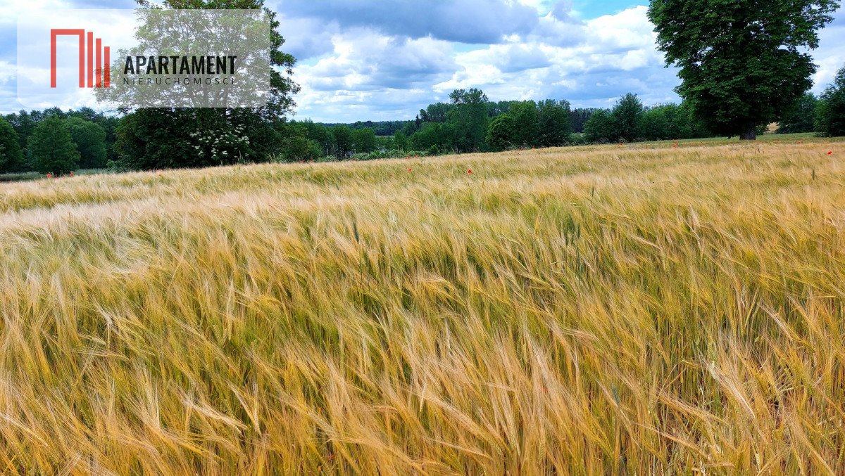 Działka budowlana na sprzedaż Jeleń  5 141m2 Foto 8