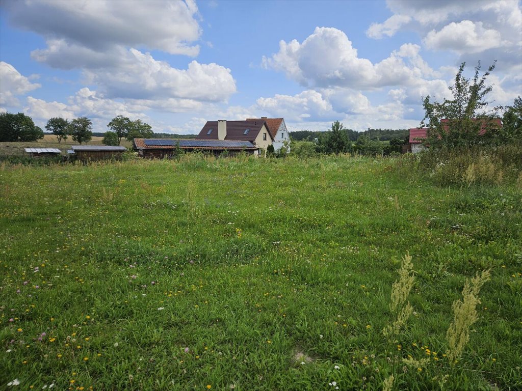 Działka inna na sprzedaż Dźwierzuty  1 665m2 Foto 1