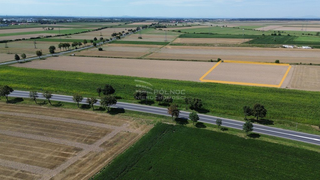 Działka budowlana na sprzedaż Zielęcice  6 500m2 Foto 3