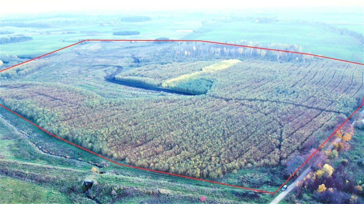 Działka rolna na sprzedaż Koszajny  551 400m2 Foto 3