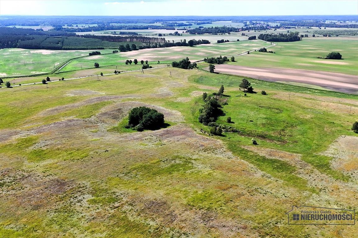 Działka siedliskowa na sprzedaż Dębowo  34 908m2 Foto 6