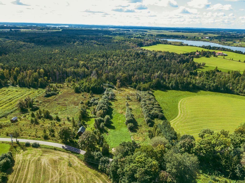 Działka rolna na sprzedaż Golubie  3 687m2 Foto 2