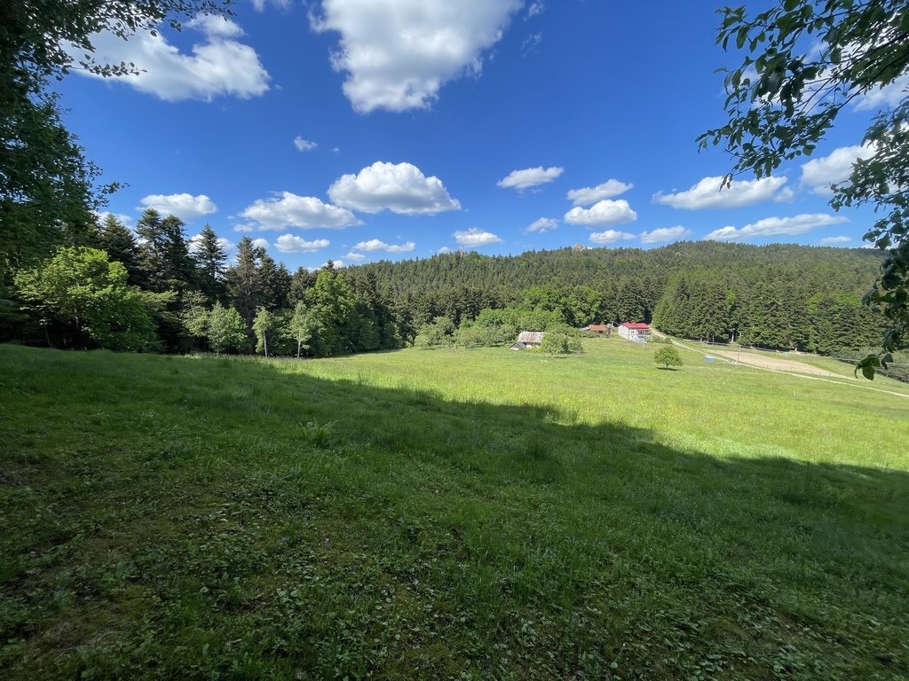 Działka budowlana na sprzedaż Korczyna, Dolińska  16 060m2 Foto 3