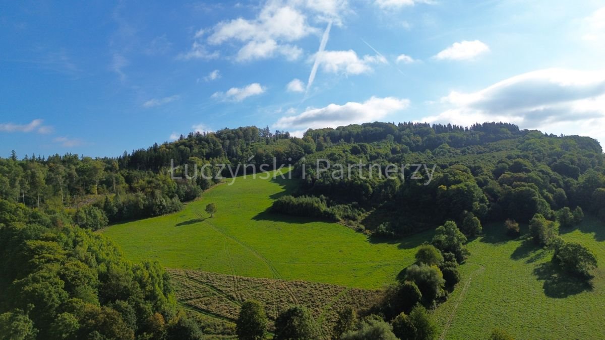 Na sprzedaż 15 ha działki z własnym źródłem w Wojcieszowie Wojcieszów  154 751m2 Foto 1