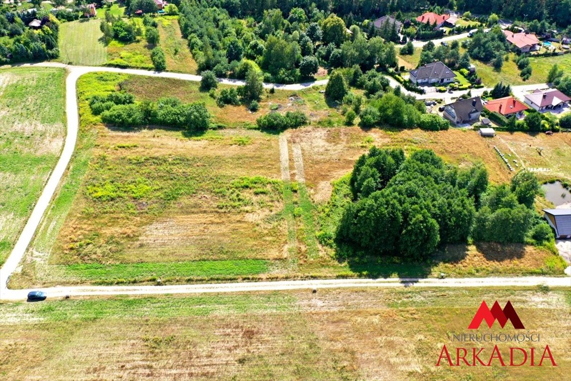 Działka rolna na sprzedaż Nowy Witoszyn  3 100m2 Foto 5