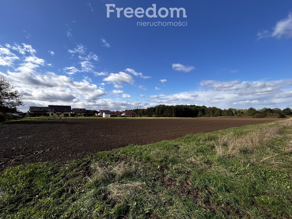 Działka rolna na sprzedaż Polanka Wielka, Spacerowa  5 488m2 Foto 2