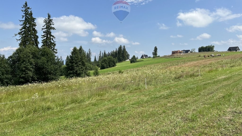 Działka rolna na sprzedaż Biały Dunajec  8 416m2 Foto 12