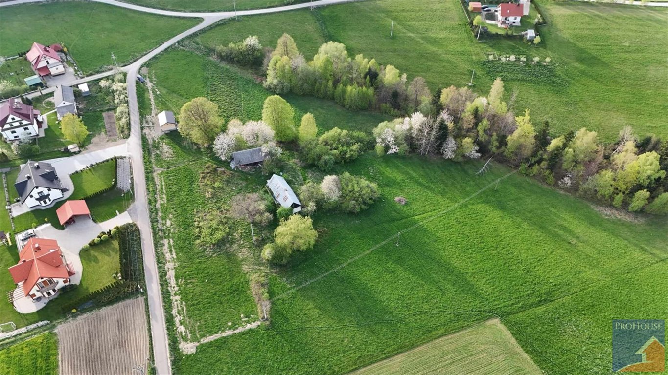 Działka inna na sprzedaż Stara Wieś  14 000m2 Foto 4