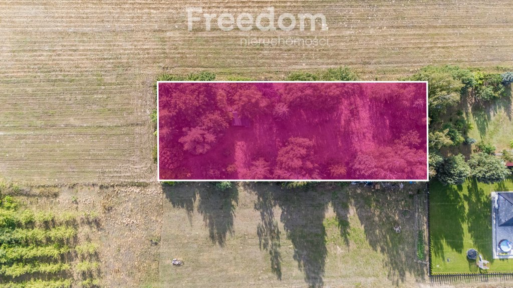 Działka siedliskowa na sprzedaż Buczynów  2 500m2 Foto 1