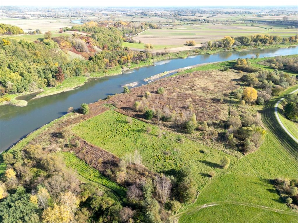 Działka rolna na sprzedaż Dąbrówka Morska  9 500m2 Foto 4