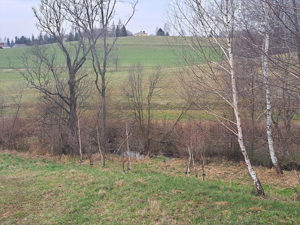 Działka rolna na sprzedaż Gorzyce  3 560m2 Foto 4