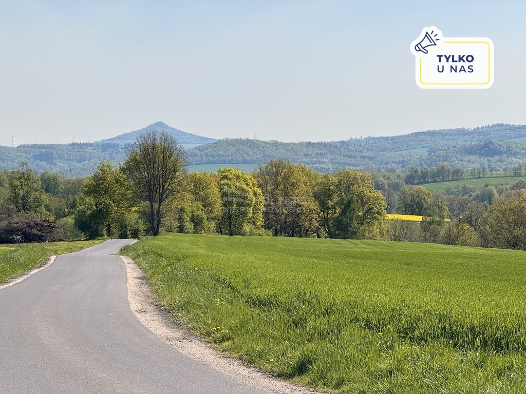 Działka budowlana na sprzedaż Marczów  3 259m2 Foto 1