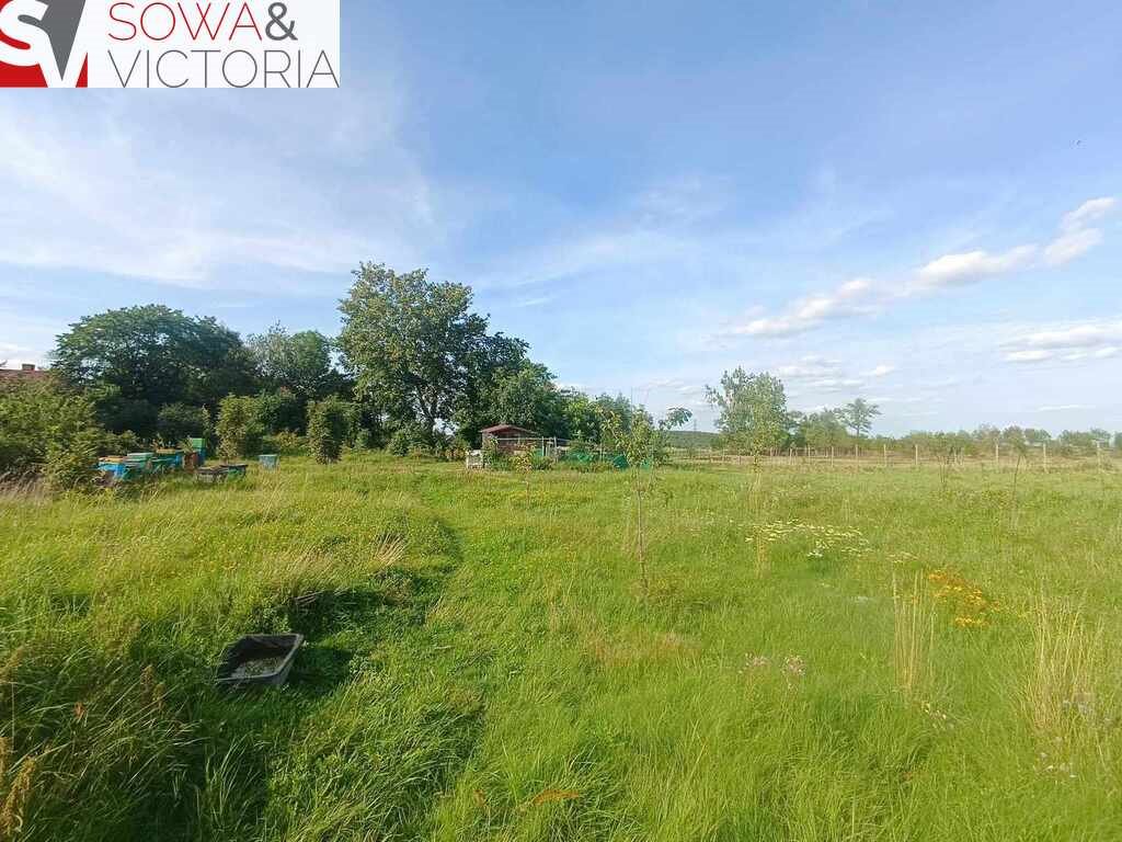 Działka 7 431 m² z ruinami i starodrzewem - zapraszam Cieszów  7 431m2 Foto 1