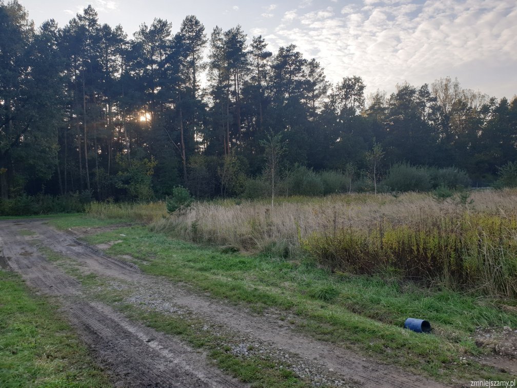 Działka budowlana na sprzedaż Dzierdziówka  1 172m2 Foto 3