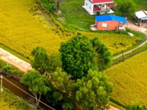 Działka budowlana na sprzedaż Turośń Dolna  3 000m2 Foto 2