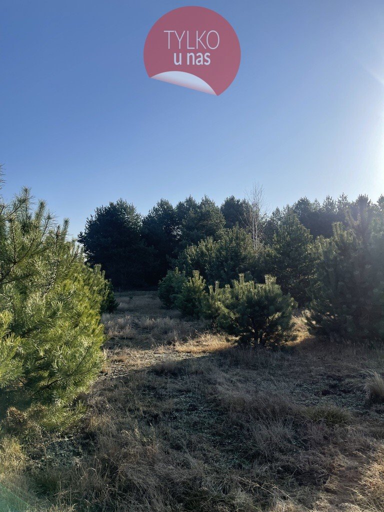 Działka budowlana na sprzedaż Ruda  1 467m2 Foto 1