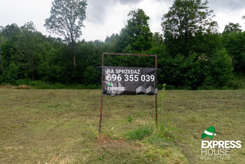 Działka budowlana na sprzedaż Stronie Śląskie, Polna  2 617m2 Foto 15