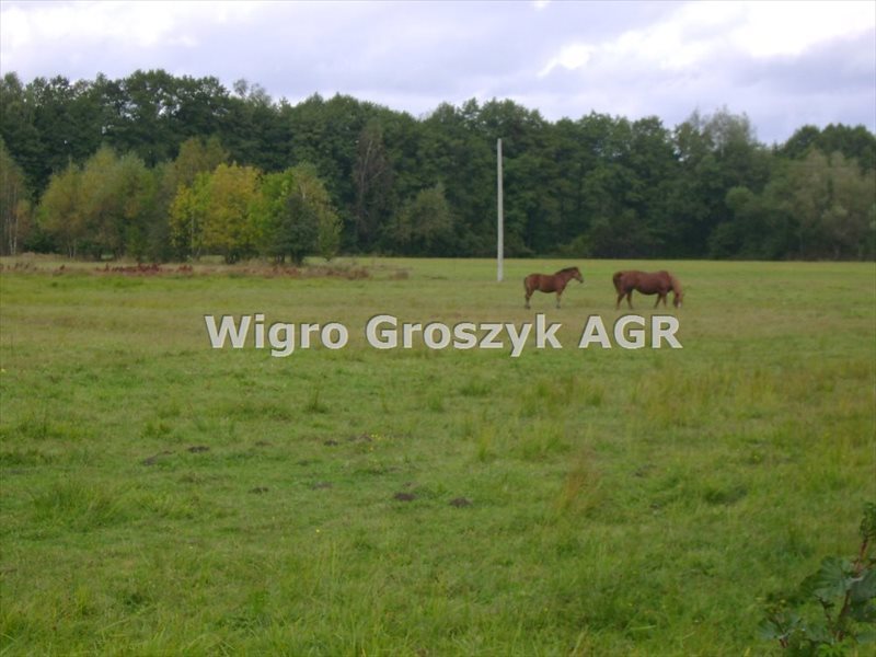 Działka rolna na sprzedaż Brzozówka  25 500m2 Foto 2