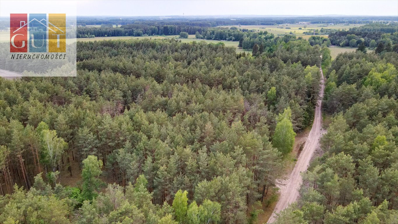 Działka rolna na sprzedaż Chorzele  52 470m2 Foto 3