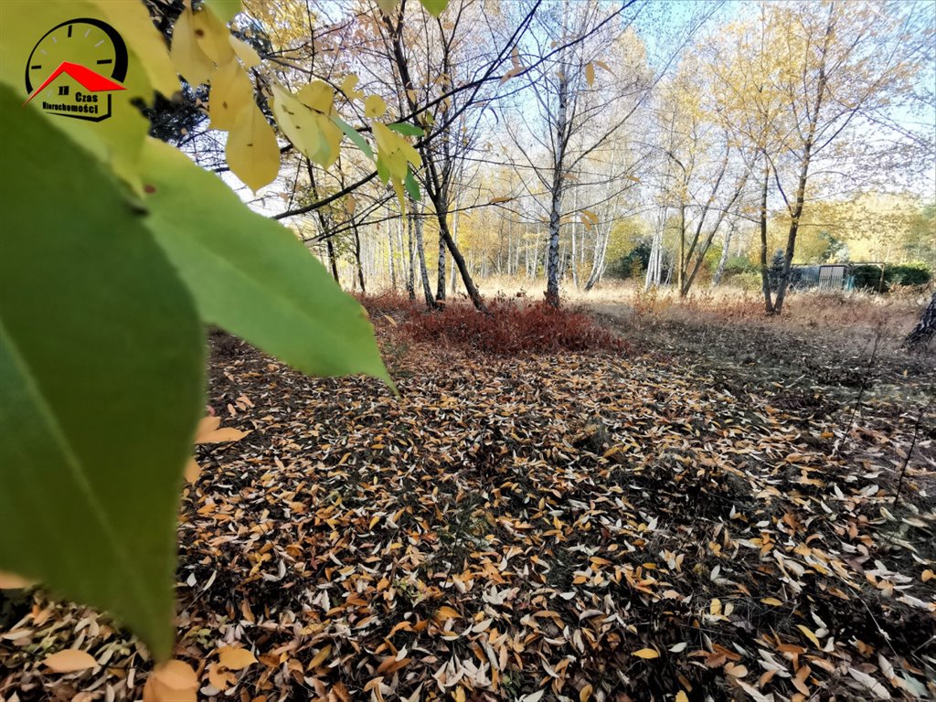 Działka gospodarstwo rolne na sprzedaż Orle  3 700m2 Foto 10