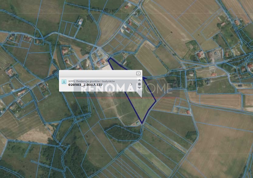 Do sprzedania duża działka inwestycyjna 2,7 ha z możliwością zabudowy Myślinów  27 000m2 Foto 1