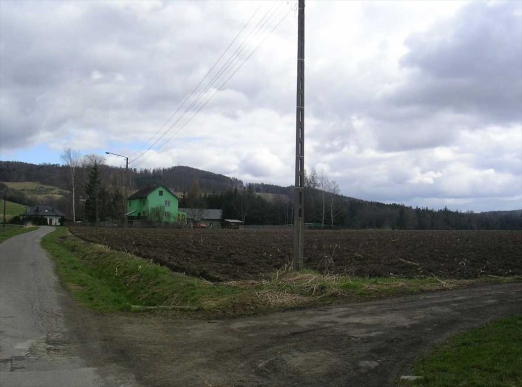 Działka inna na sprzedaż Kłodzko  10 600m2 Foto 3