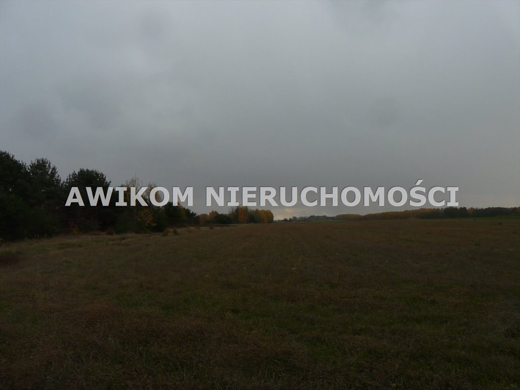 Działka inwestycyjna na sprzedaż Puszcza Mariańska, Stary Łajszczew  74 200m2 Foto 11