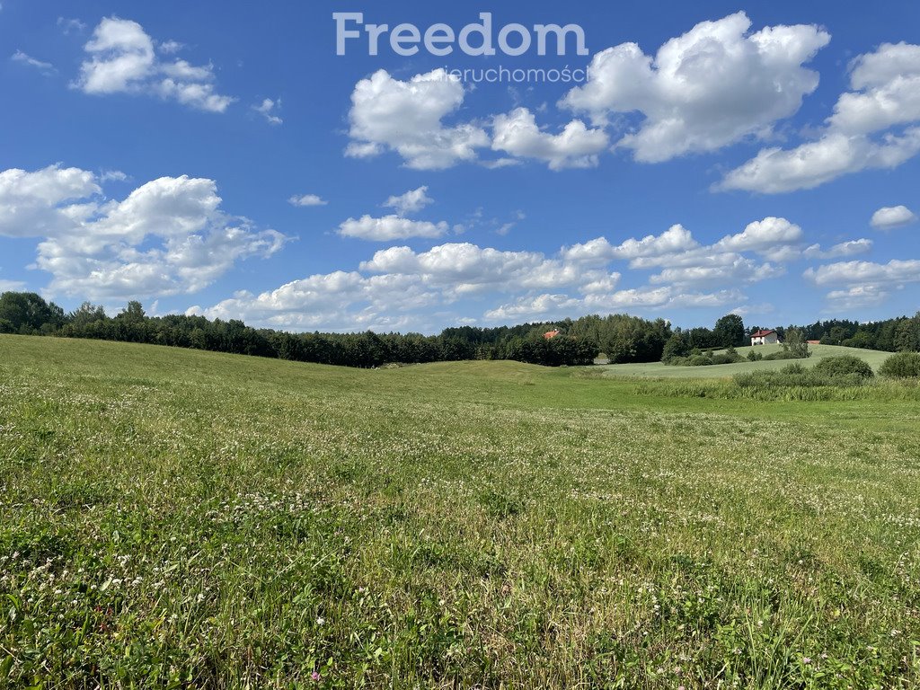 Działka budowlana na sprzedaż Mątki  4 200m2 Foto 1