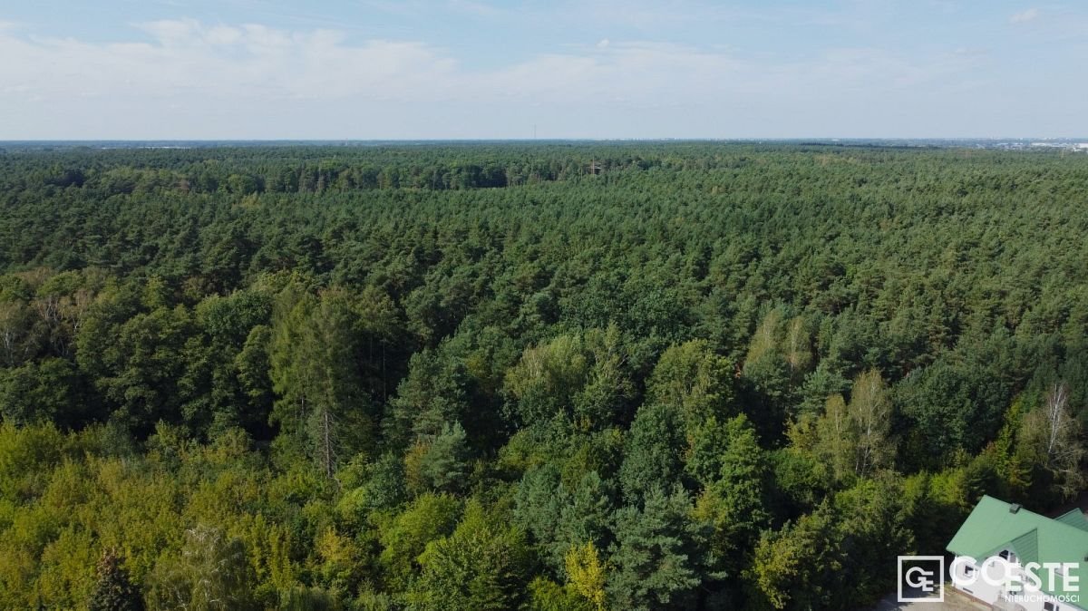 Działka inna na sprzedaż Łazy, Podleśna  7 100m2 Foto 3