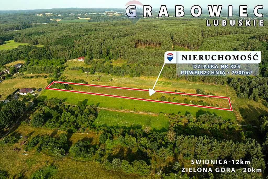 Działka rolna na sprzedaż Grabowiec  7 900m2 Foto 8